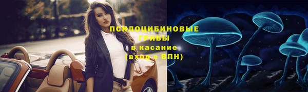 гашик Алзамай