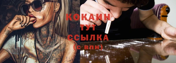 гашик Алзамай