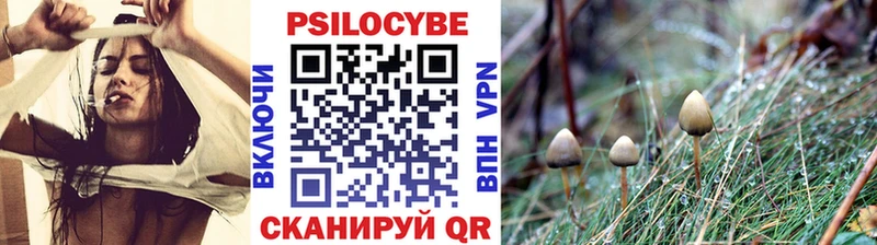 Галлюциногенные грибы Psilocybe  магазин    Юрьев-Польский 